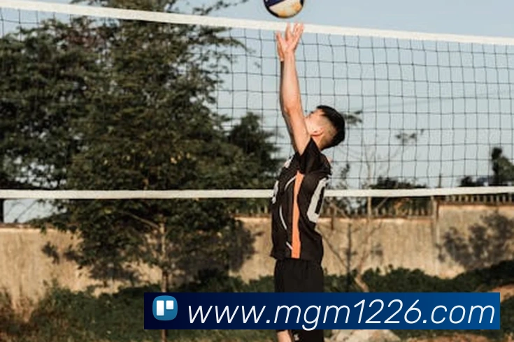 平台使命图